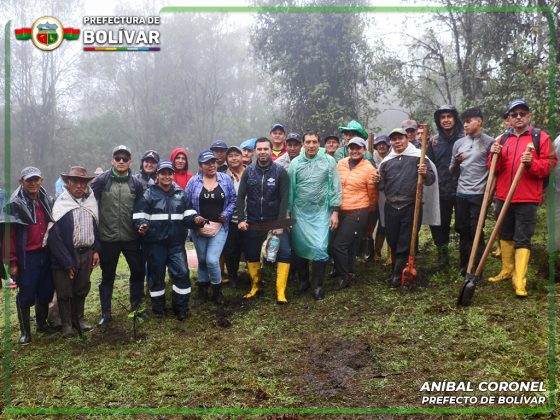 MINGA «CADA ÁRBOL CUENTA, SEMBRANDO VIDA»