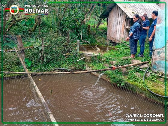 Prefectura de Bolívar, realizó un recorrido por los proyectos piscícolas del cantón Echeandía.